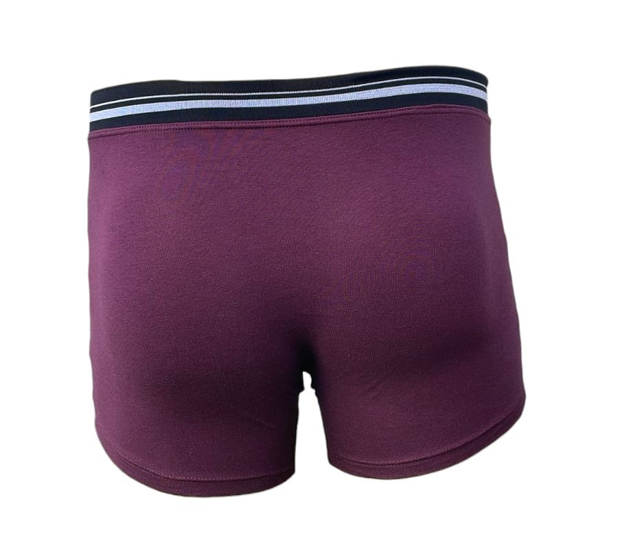 Bóxer Abanderado para Hombre – Estilo y Confort en Cada Movimiento