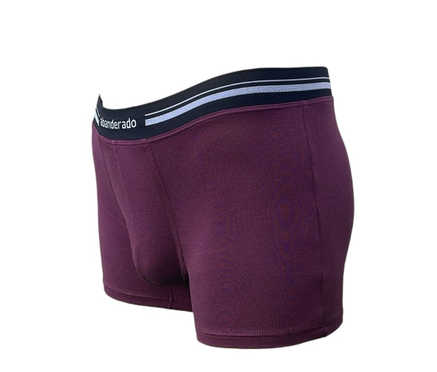 Bóxer Abanderado para Hombre – Estilo y Confort en Cada Movimiento