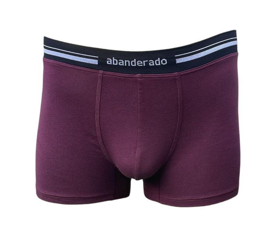 Bóxer Abanderado para Hombre – Estilo y Confort en Cada Movimiento